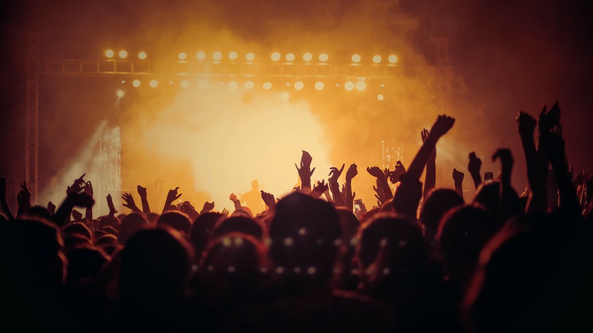 Crowd enjoying a live music show with stage lights